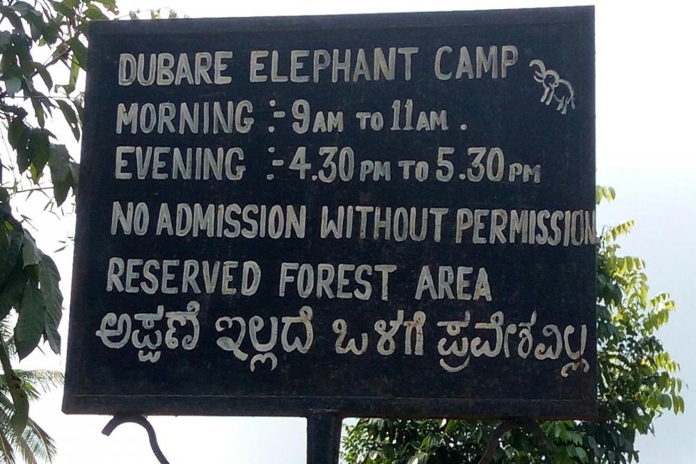 Dubare Elephant Camp (14).jpg